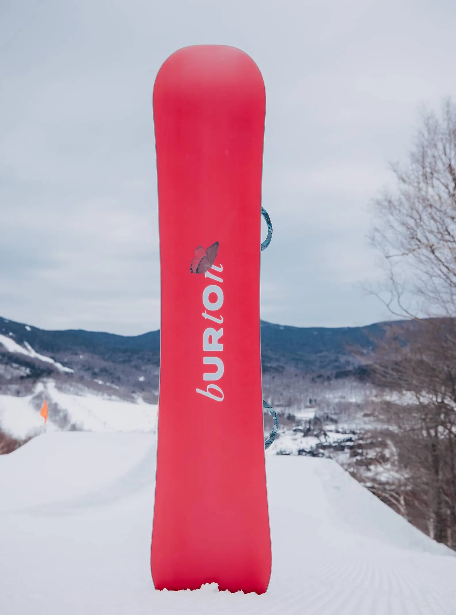 burton__snowboard__cambre_7-10.webp Femme Burton - Snowboard à Cambre Talent Scout Femme