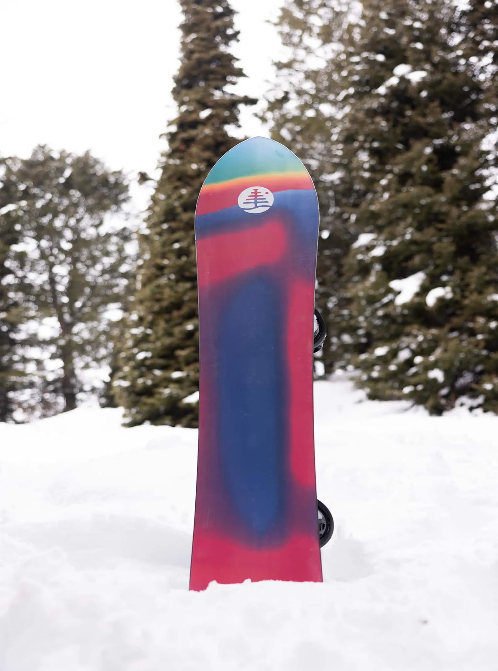 burton__snowboard_family__7.webp Femme/Homme Burton - Snowboard Family Tree 3D Channel Surfer Flat Top