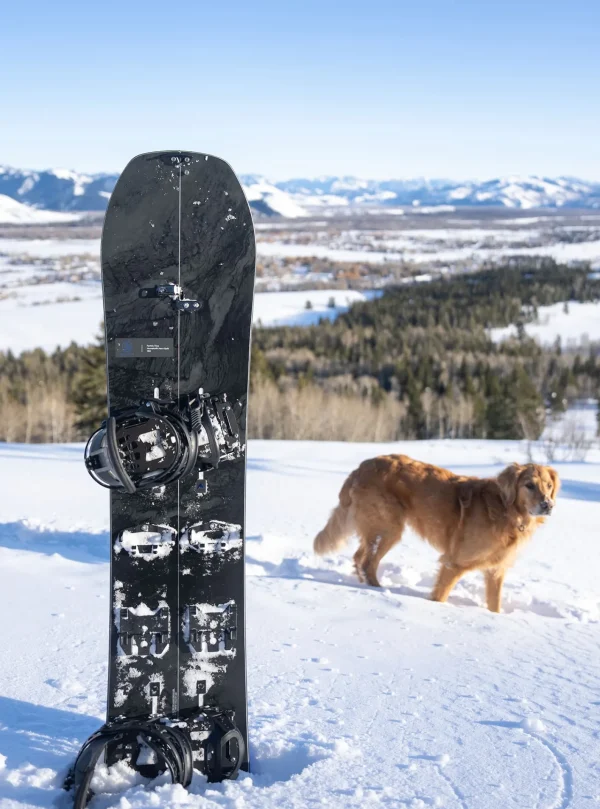 Femme/Homme Burton - Splitboard à Cambre Family Tree Hometown Hero