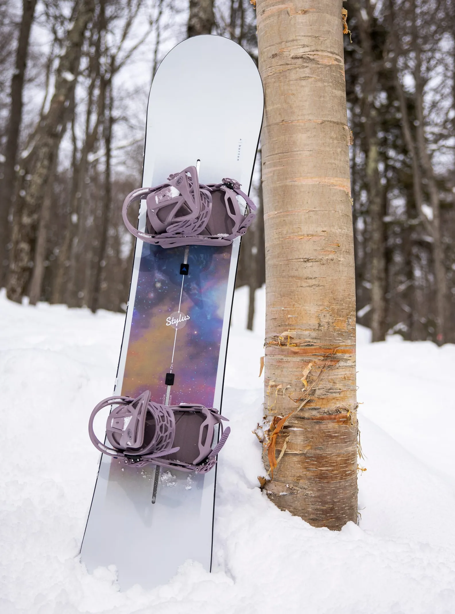 burton_snowboard_stylus_f_6.webp Femme Burton - Snowboard Stylus Flat Top Femme